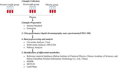 Altered adolescents obesity metabolism is associated with hypertension: a UPLC-MS-based untargeted metabolomics study